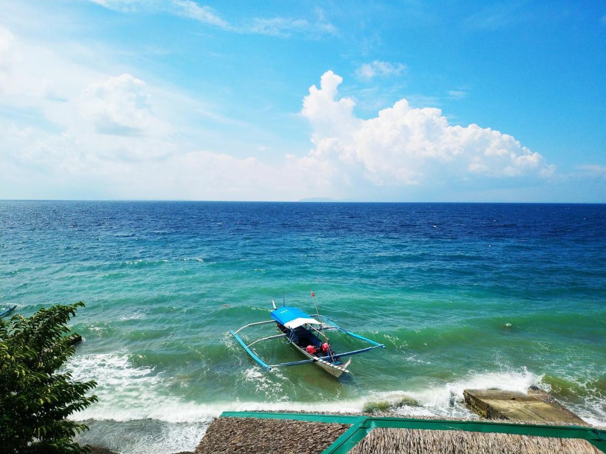 Blue Ribbon Dive Resort Mabini  Bagian luar foto