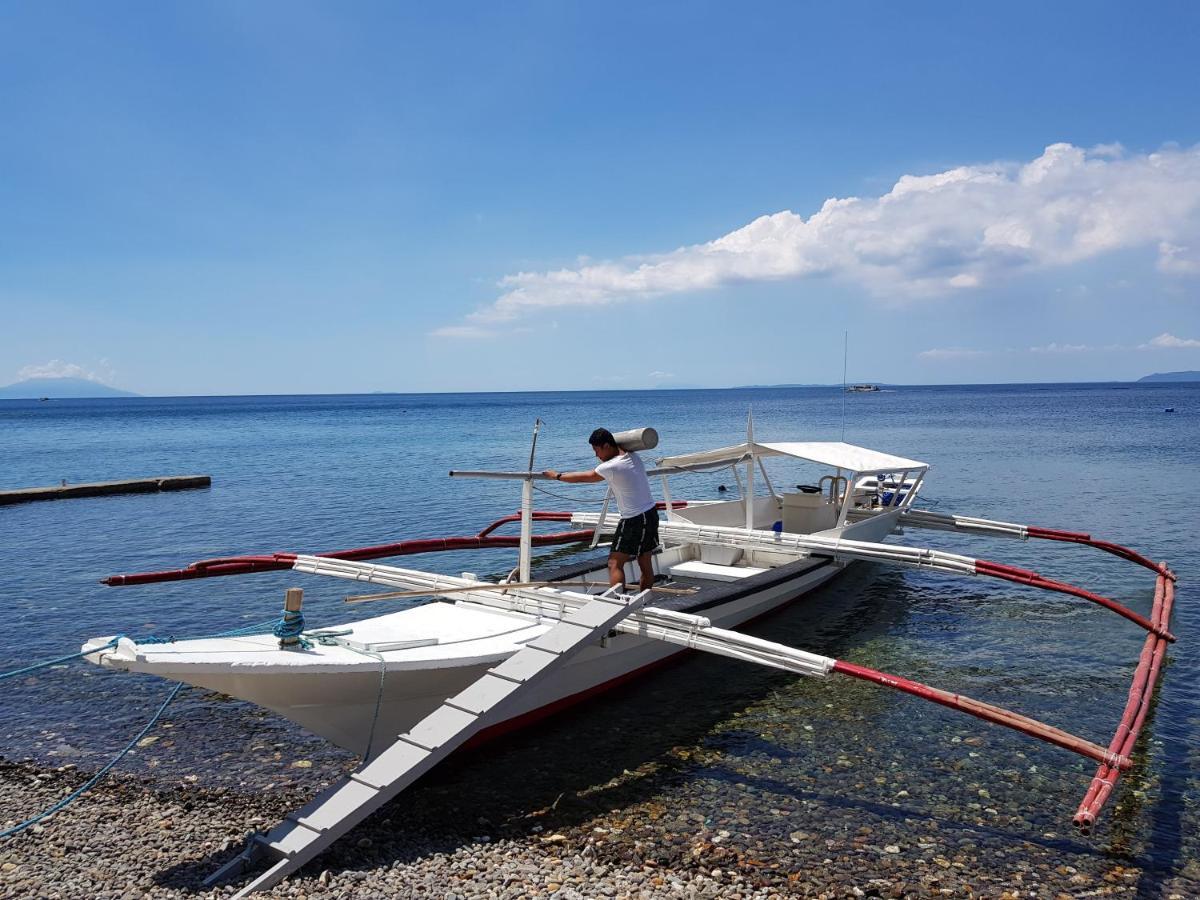 Blue Ribbon Dive Resort Mabini  Bagian luar foto